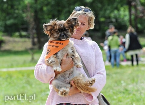 Adopsiaki mają głos