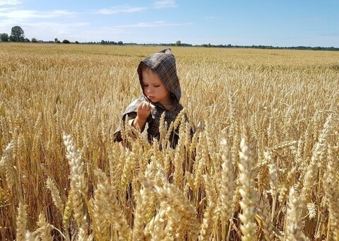 Przyjdź na pchli targ i pomóż choremu Alanowi