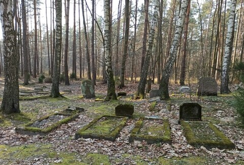 Leśne miejsca zadumy (Opowieści z lasu, odc. 242)