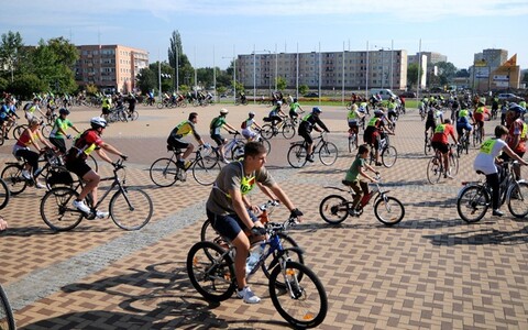 Alleycat - 15 kilometrów po mieście