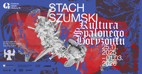 Kultura spalonego horyzontu