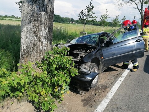 Auto uderzyło w drzewo