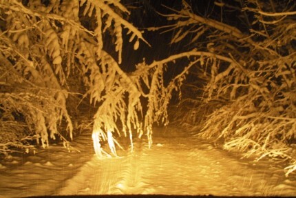 Bardzo śnieżna noc