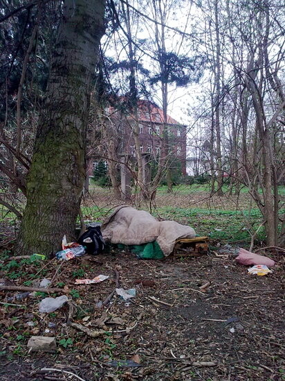 Bezdomny w szpitalnych krzakach