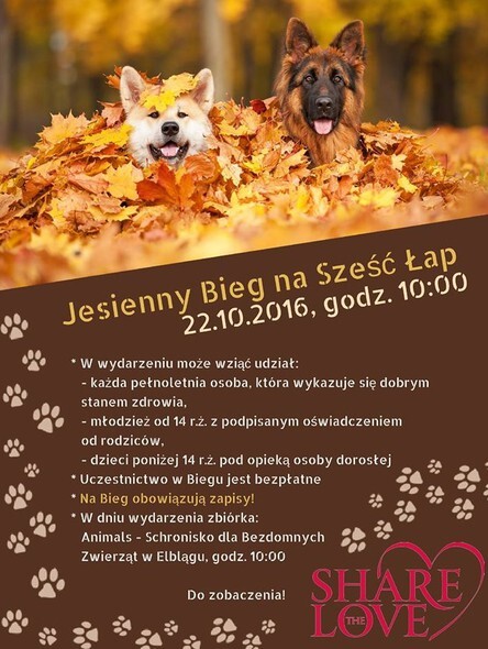 Bieg na Sześć Łap w jesiennych barwach