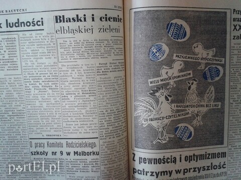 Blaski i cienie elbląskiej zieleni