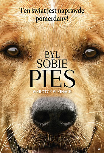 Był sobie pies w kinie Światowid