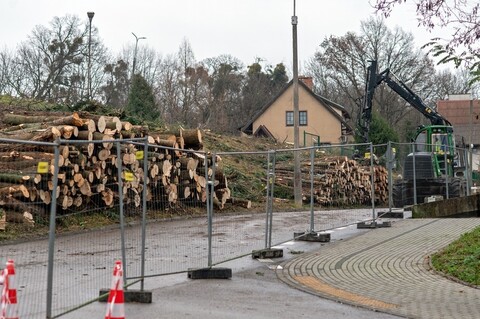 Były drzewa i krzewy, będzie fotowoltaika