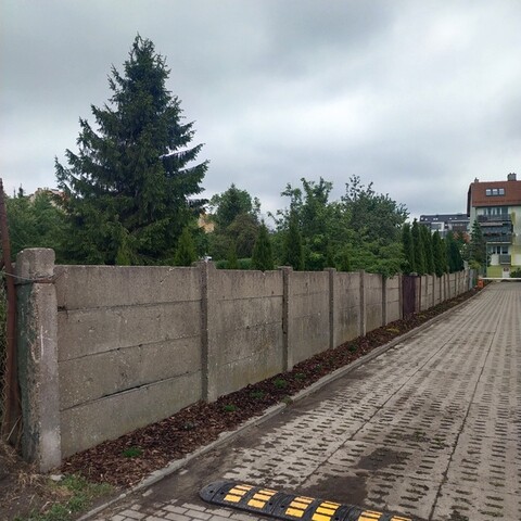 Chcą upiększyć Browarną muralem