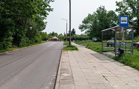 Chodnik godny króla