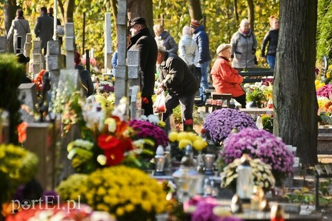 Cmentarze zamknięte, nie będzie zmian w organizacji miejskiej komunikacji