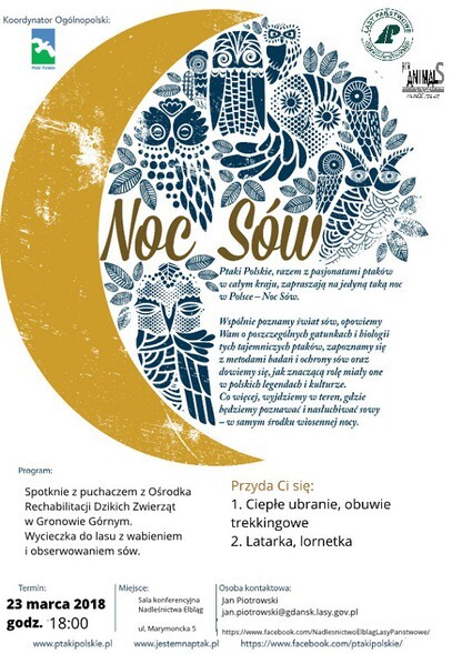 Co robią sowy nocą?