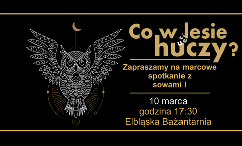 Co w lesie huczy?