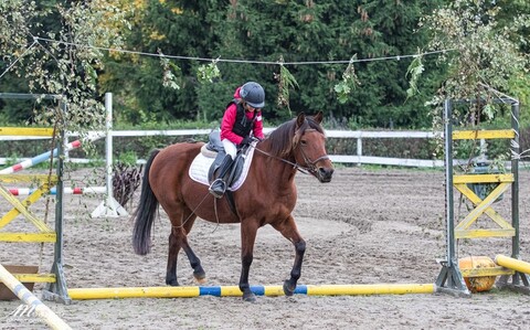 Czwarty sezon Pony Cup zbliża się wielkimi krokami