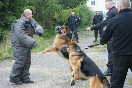 Czworonożni policjanci