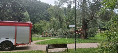 Czytelniczka: O włos od tragedii 