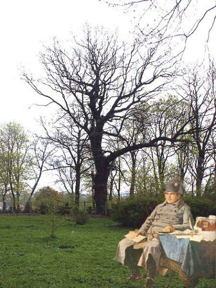 Napoleon w Elblągu i okolicach