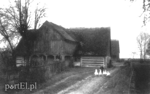 Historia okolic Elbląga: Od Maciejowizny do Buczyńca (odc. 182) 