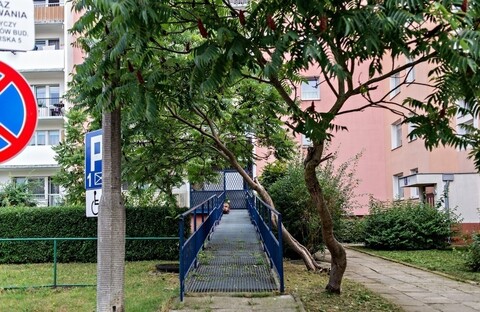 Czytelnik: czy oni czekają, aż to drzewo spadnie na mojego syna?