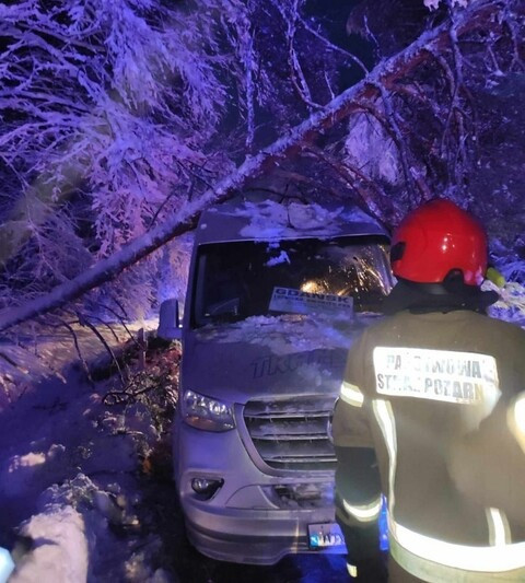 Drzewo spadło na busa