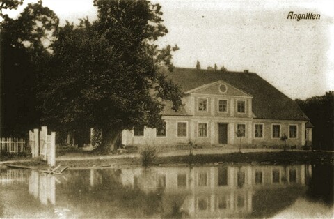 Historia okolic Elbląga: Od Brzezin do Anglit (odc. 163) 