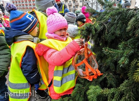 Tu ozdobą są ziarna i marchewki