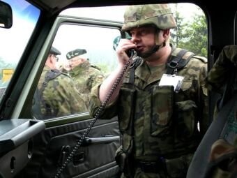 Dzik szaleje na poligonie