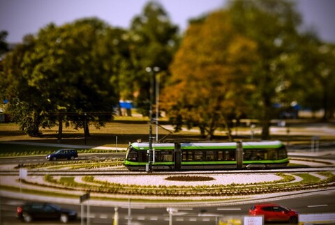 Elbląska komunikacja miejska w obiektywie elblążan. Wyniki