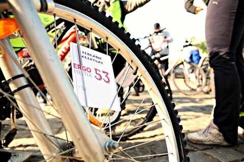 Elbląski Alleycat już w czerwcu