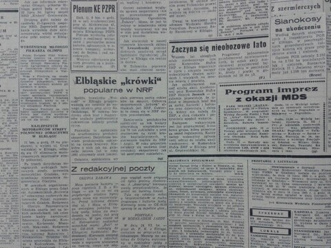 Elbląskie krówki popularne w NRN