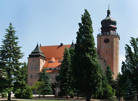Elblążanie ocenili urzędników