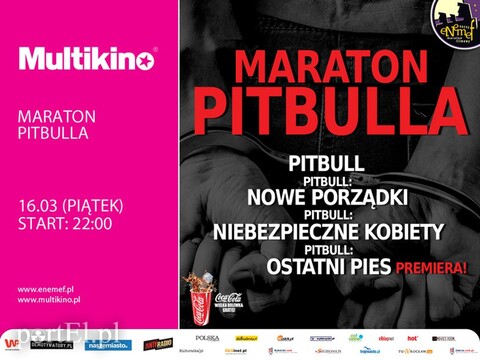 ENEMEF: Maraton Pitbulla z premierą Ostatniego psa w Multikinie