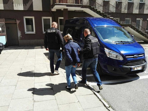 Fałszywa pracownica socjalna trafiła do aresztu