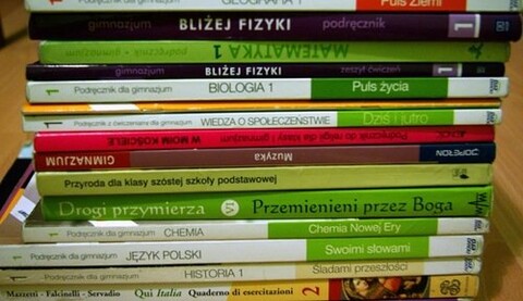 Fatalny pomysł Stronnictwa Demokratycznego (opinia)