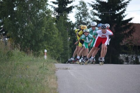 Festiwal sportów wrotkarskich