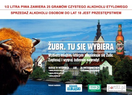 Fotka miesiąca z Żubrem