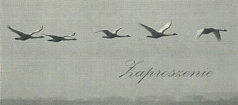 Fotografie Ireny Bykowskej w Galerii Na Wyspie