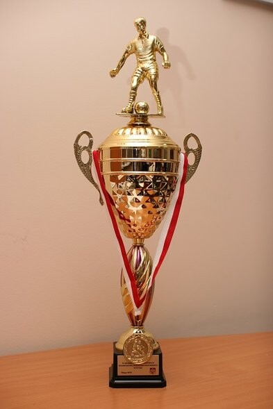 Futsalowcy z PWSZ Mistrzami Województwa