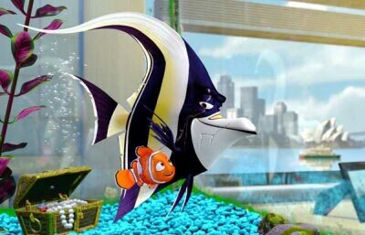 Gdzie jest Nemo?