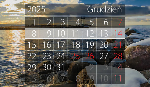 W tym tygodniu portEl poleca: warsztaty, wernisaż i kiermasz