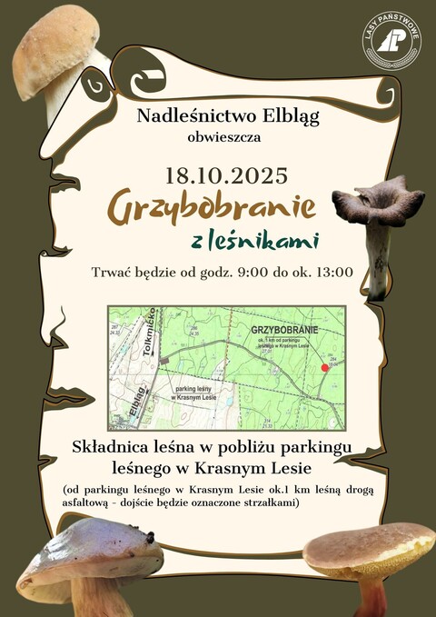 Grzybobranie z leśnikami