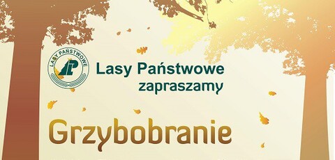 Grzybobranie z leśnikami