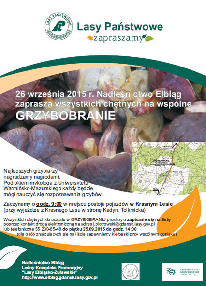 Grzybobranie z leśnikami