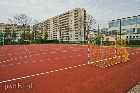 Pół roku na sportowe hale