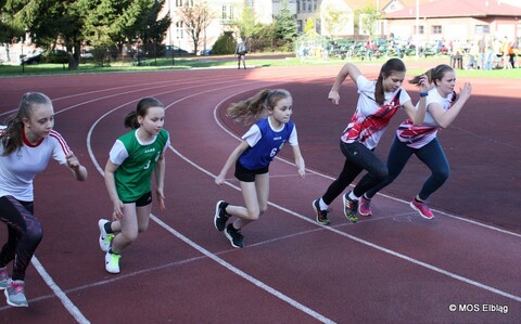 II Elbląskie Czwartki Lekkoatletyczne