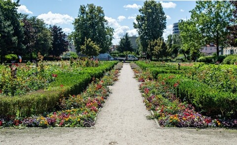 Ile kosztuje utrzymanie miejskiej zieleni