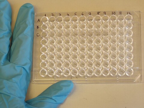 In vitro budżetu obywatelskiego nie wygra