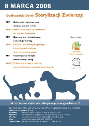 Jak koty marcują?