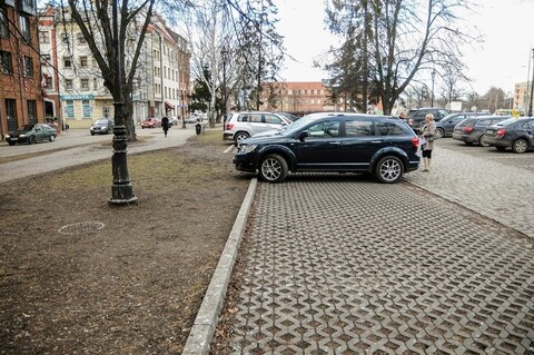 Ptaki, ich potrzeby, a samochody na parkingu