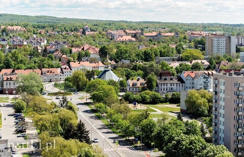 Jak podzielić Elbląg?